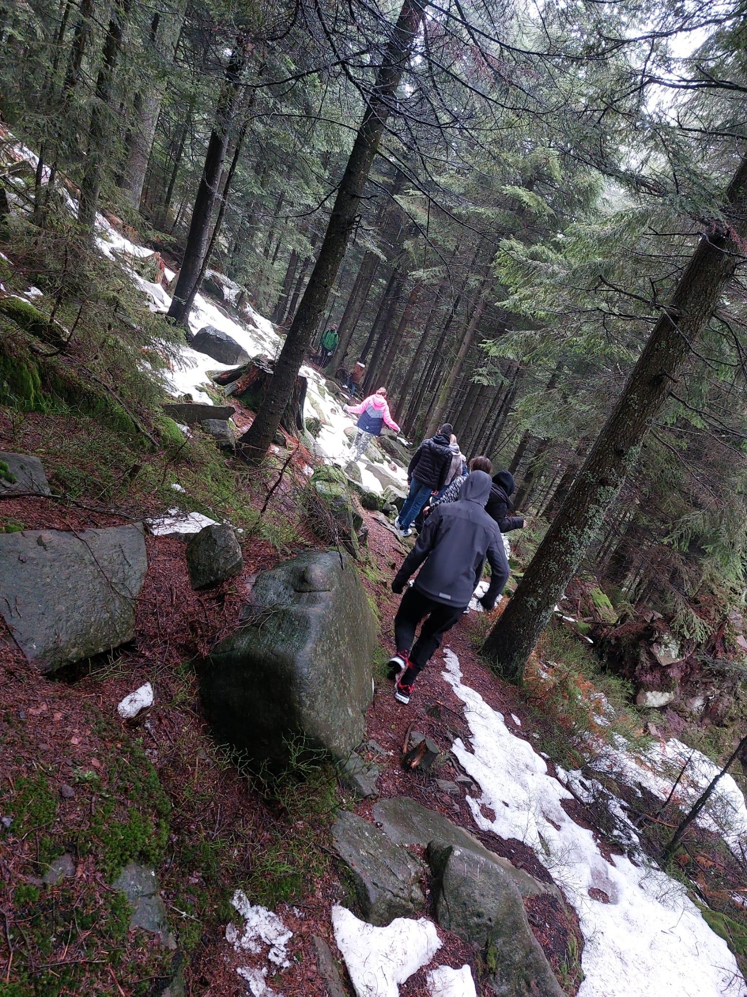 Waldbegehung in schwierigem Terrain