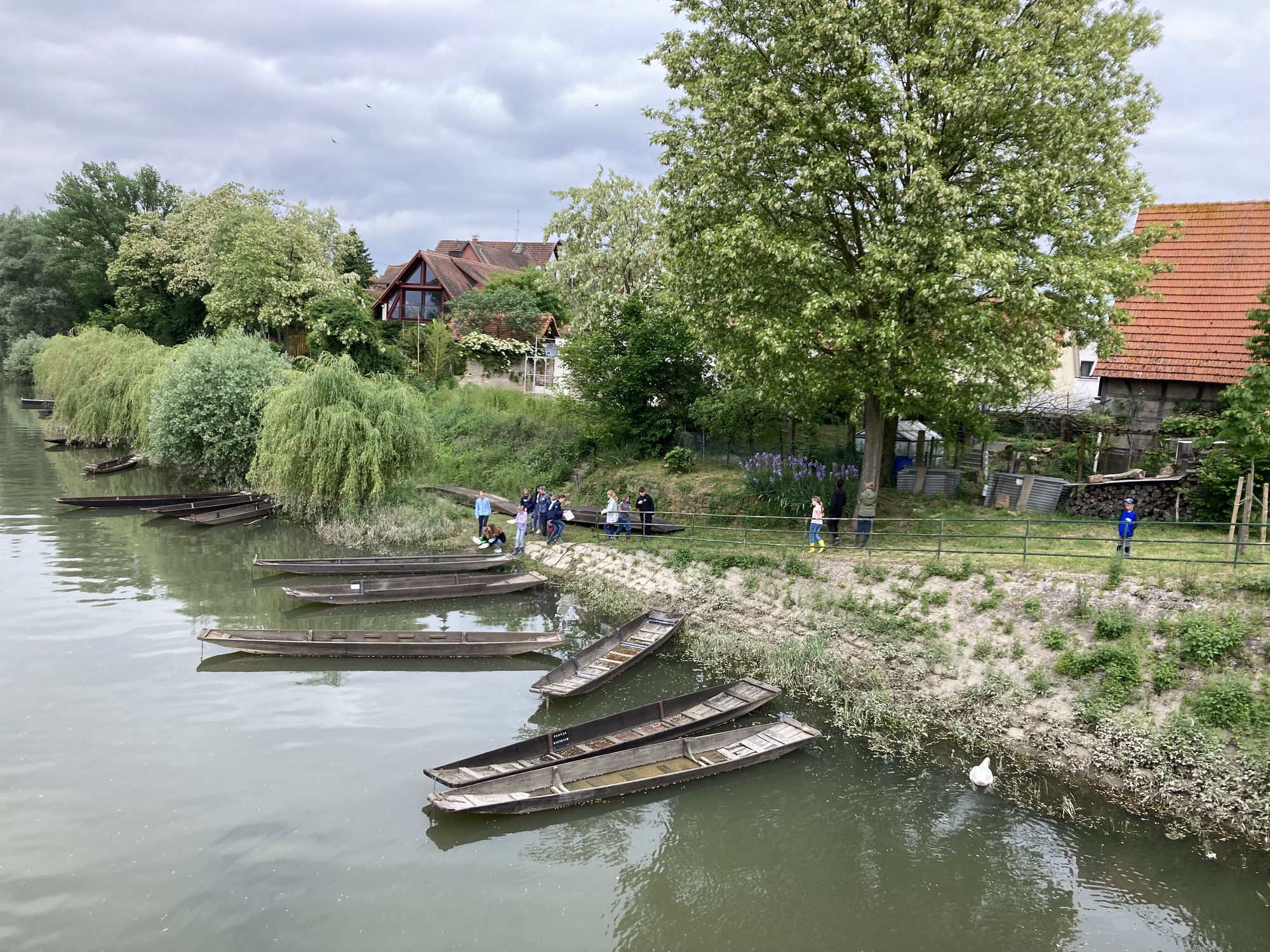 Rheinkäne an einem Seitenarm mit Kindern, die bereit sind, gleich einzusteigen.